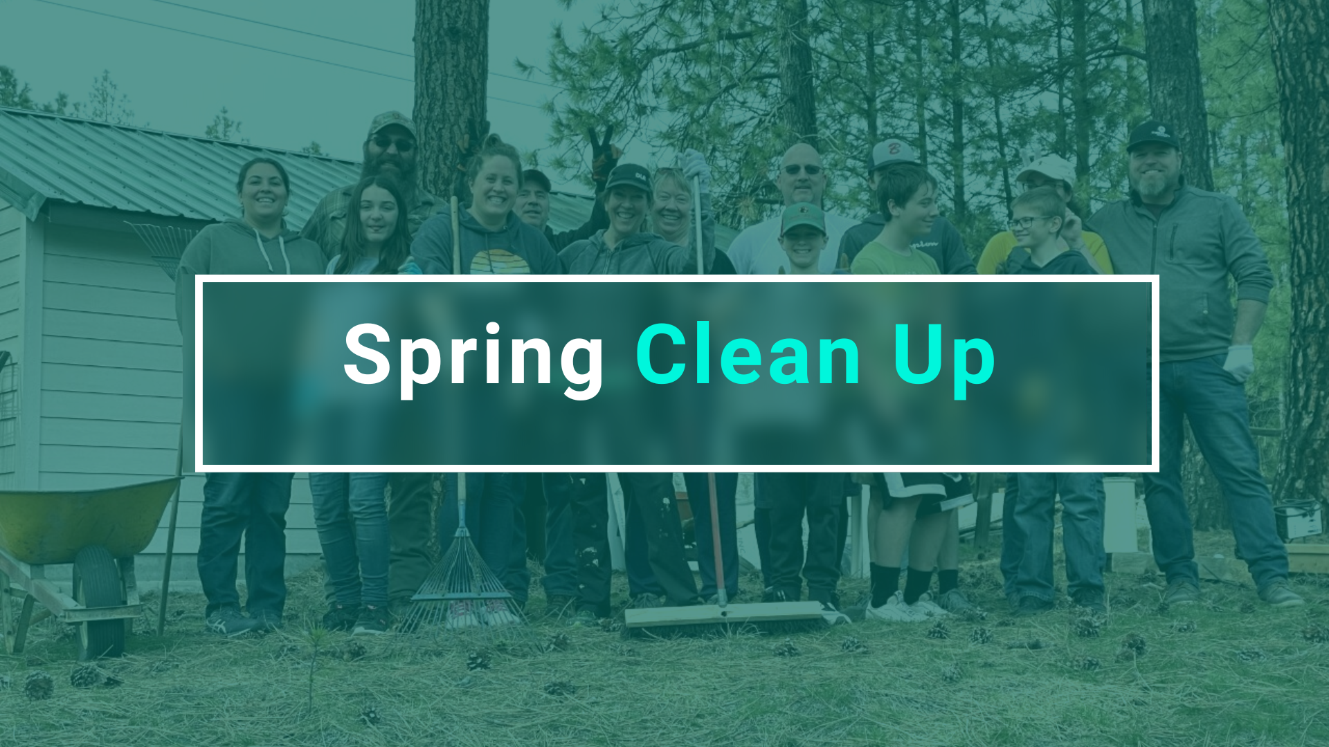 Spring Clean-up